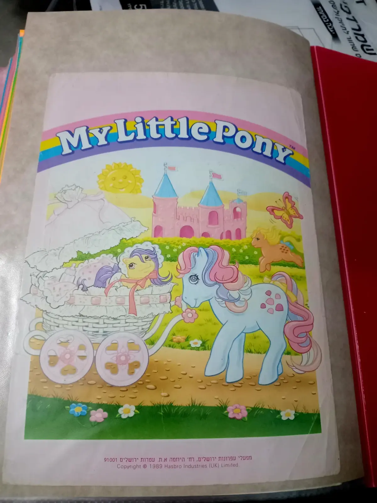 כריכה קשיחה פוני קטן 2